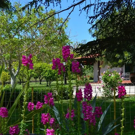 Irene Holiday home *