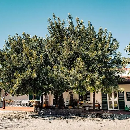 Irene Holiday home