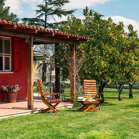 Irene Semesterbostad