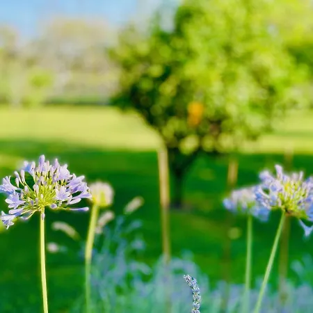 Irene Semesterbostad *