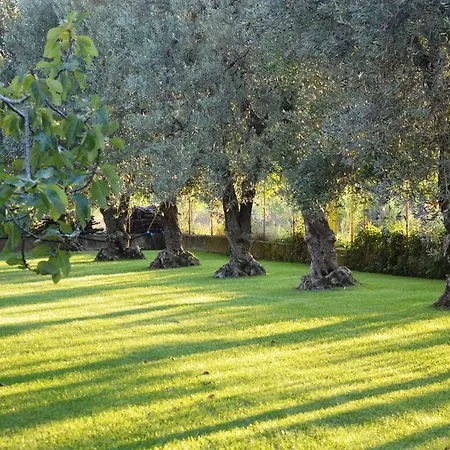 Semesterbostad Irene *