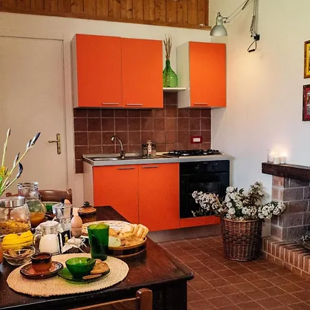 Irene Pisticci-matera 피스티치