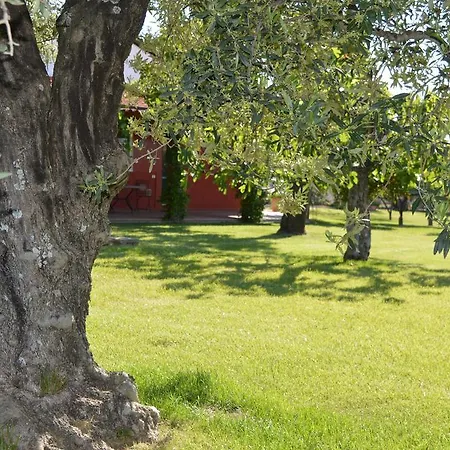 Irene Holiday home Pisticci