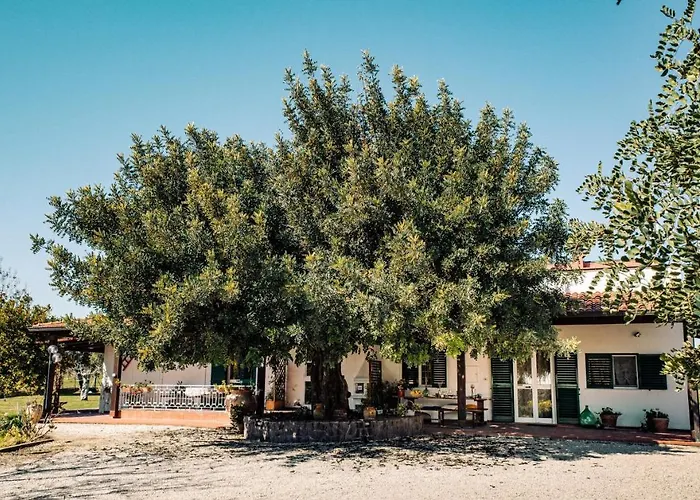 Irene Pisticci-matera Casa vacanze