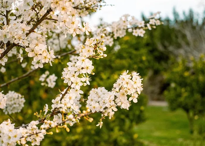 Casa vacanze Irene Pisticci-matera *