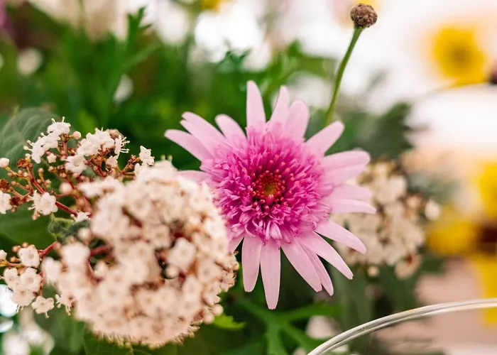 Irene Pisticci-matera * Pisticci