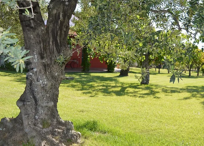 Irene Pisticci-matera Casa vacanze Pisticci