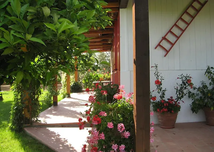 Irene Pisticci-matera Casa vacanze Pisticci