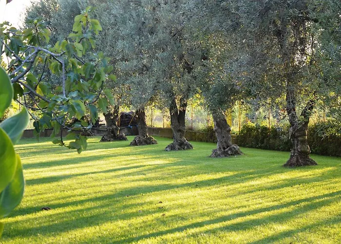 Casa vacanze Irene Pisticci-matera *