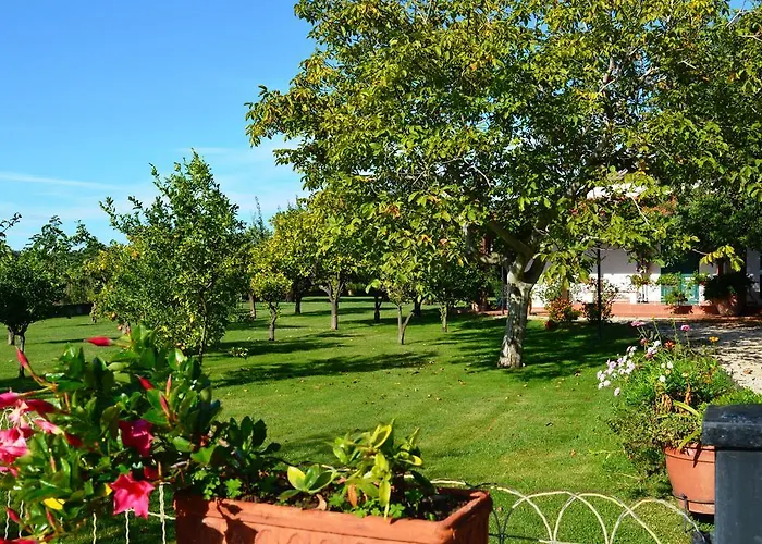 Irene Pisticci-matera Casa vacanze Pisticci