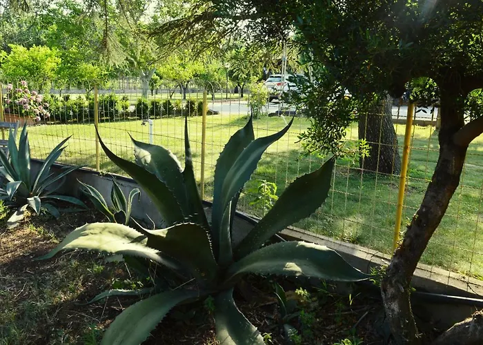 Irene Pisticci-matera *